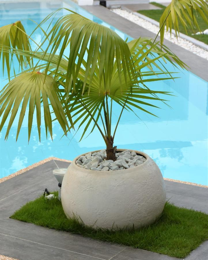 Balai Cinta Villa Panglao Island Exterior photo